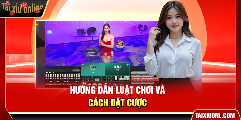 Hướng dẫn luật chơi và cách đặt cược