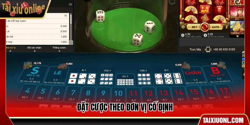 Cược tiền theo mức cố định mỗi ván